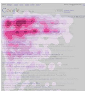 Résultat d'une étude de google sur l'attention visuelle des internaute devant une page de résultats lors d'une recherche Google